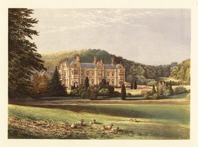 Mamhead, Devon, İngiltere ,1880 (gravür) by Alexander Francis (after) Lydon