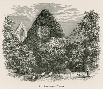 Dryburgh Manastırı, Aziz Catherine Penceresi by Alexander Francis Lydon