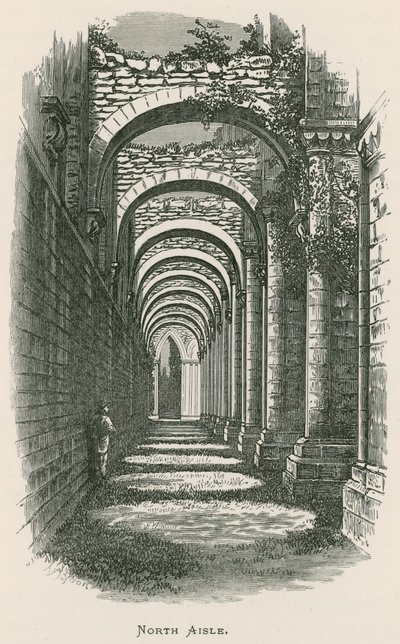 Fountains Abbey, Kuzey Koridor by Alexander Francis Lydon