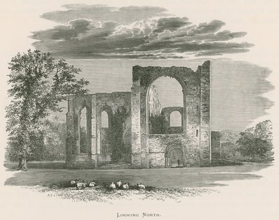 Furness Manastırı, Kuzeye Bakmak by Alexander Francis Lydon