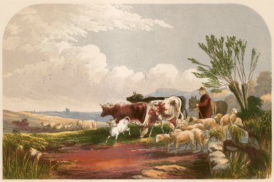 Goldsmith