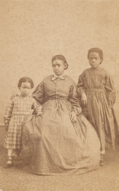 Genç bir kadın ve iki çocuğun ziyareti, 1864 - 1866. by Alexander Gardner