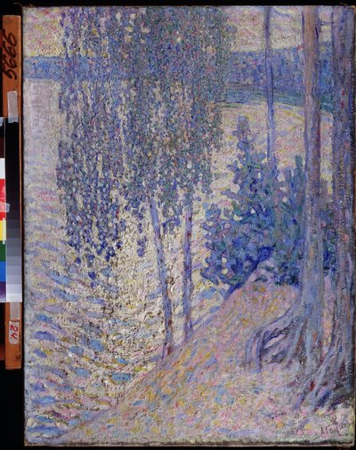 Alexander Fyodorovich Gaush (1873-1947) tarafından 1910 dolaylarında Çuvaş Cumhuriyeti Devlet Sanat Müzesi "Huş Ağaçları" (Huş) Tablosu Cheboksary by Alexander Gaush