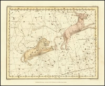 1822 - Alexander Jamieson - Lynx  Leo Minor by Alexander Jamieson