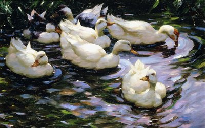 Güneşli bir gölde yüzen ördekler by Alexander Koester