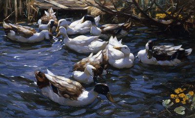 Sazlıklarda Dalların Altındaki Ördekler by Alexander Koester