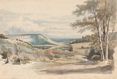West Humble Lane'den Boxhill by Alexander Monro