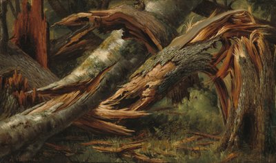 Düşmüş Ağaç, 18391845. by Alexandre Calame