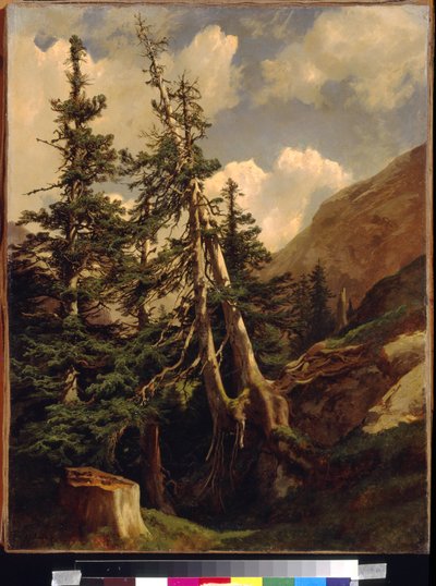 Dağlarda köknarlar, Calame, Alexandre (1810-1864). Tuval üzerine yağlı boya, Ebat : 68,5x53. Devlet A. Puşkin Güzel Sanatlar Müzesi, Moskova by Alexandre Calame