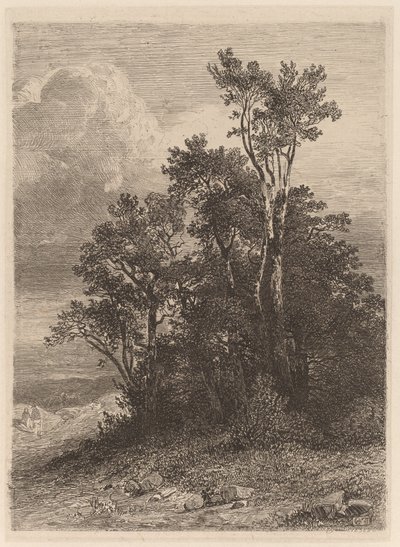 Ağaç Korusu by Alexandre Calame