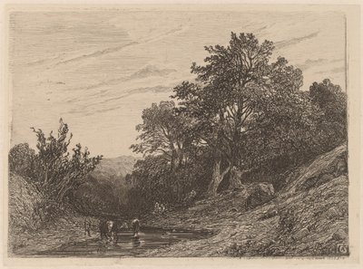 Bir Akışta Sürü by Alexandre Calame