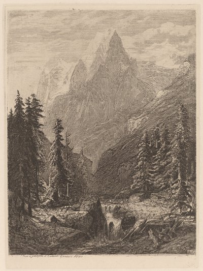 dağ çayırı by Alexandre Calame
