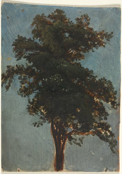 Ağaç Çalışması, ikinci üçüncü 1800