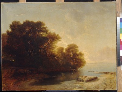 Göldeki ağaçlar, Calame, Alexandre (1810-1864). Tuval üzerine yağlı boya, Ebat : 62x81. Devlet A. Puşkin Güzel Sanatlar Müzesi, Moskova by Alexandre Calame