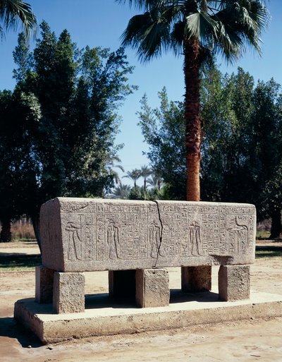 Mısır, Kahire, Antik Memphis, Oyulmuş Lahit by Nicolas Toussaint Charlet