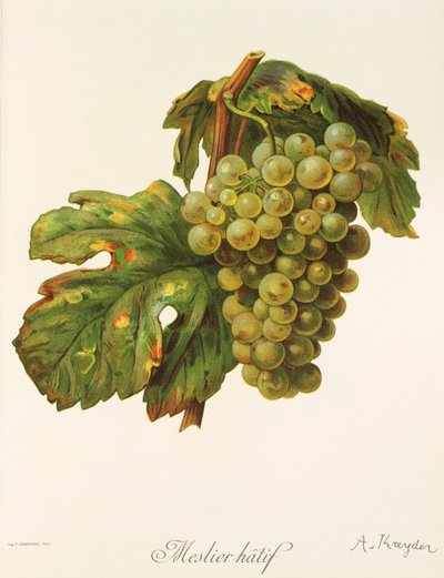 A. Kreyder