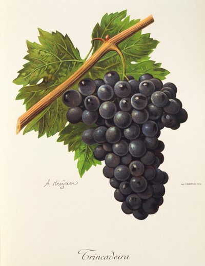 A. Kreyder