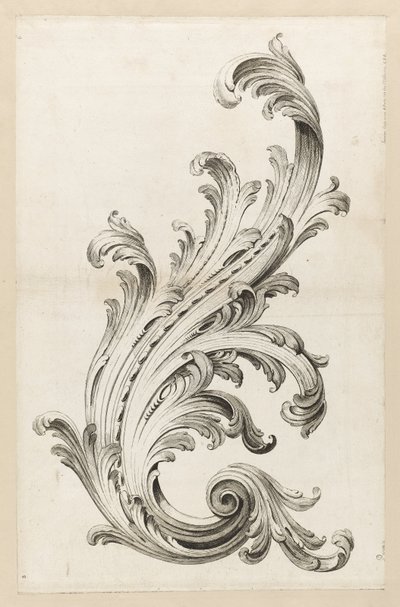 Acanthus Yaprağı Tasarımı by Alexis Peyrotte