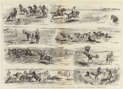 Kuzey Batı Amerika, Laramie Ovalarında Yabani Atları Yakalamak by Alfred Chantrey Corbould