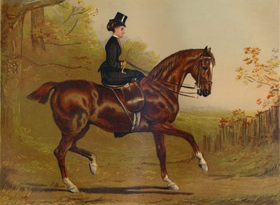 Örtmek - Bir Portre, c1879. by Alfred Chantrey Corbould