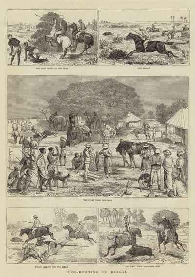 Bengal'de Domuz Avı by Alfred Chantrey Corbould