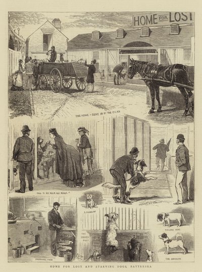 Kayıp ve Açlıktan Ölen Köpekler Evi, Battersea by Alfred Chantrey Corbould