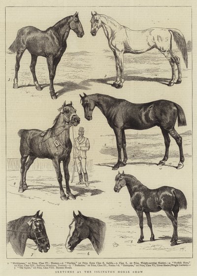 Islington Horse Show