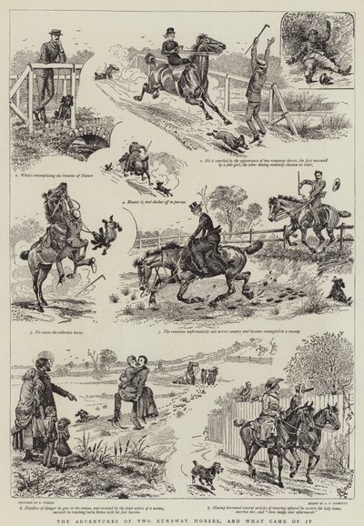 İki Kaçak Atın Maceraları ve bundan ne çıktı by Alfred Chantrey Corbould