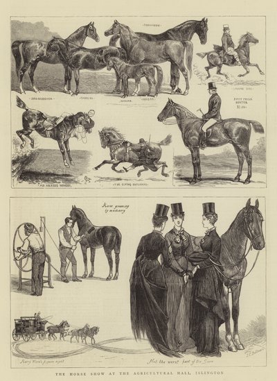 Tarım Salonu, Islington'daki At Gösterisi by Alfred Chantrey Corbould