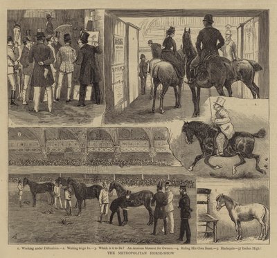 Büyükşehir At Gösterisi by Alfred Chantrey Corbould
