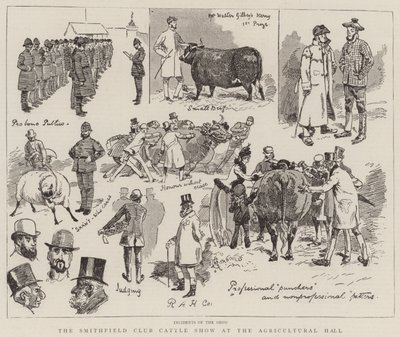 Tarım Salonunda Smithfield Kulübü Sığır Gösterisi by Alfred Chantrey Corbould