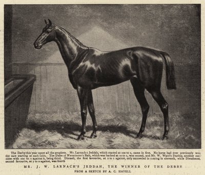 Mr J W Larnachs Jeddah, the Winner of the Derby  by Alfred Charles Havell
