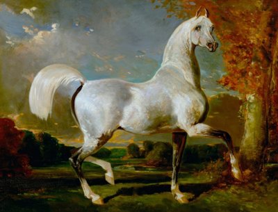 Arap aygırı by Alfred Dedreux