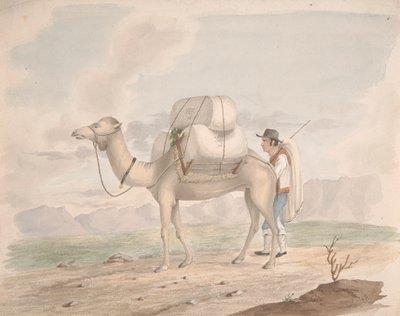 Dolu Deve by Alfred Diston