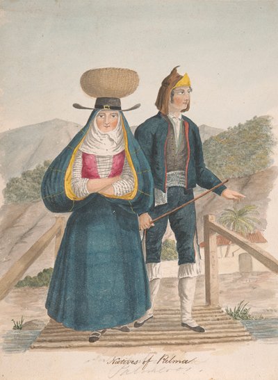 Palm Yerlileri by Alfred Diston