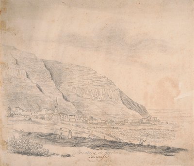 Yukarıdan Realejo, Tenerife by Alfred Diston