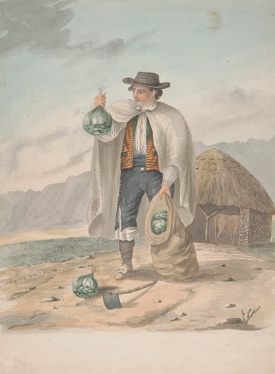 Tenerife-Tacoronte'nin Adamı by Alfred Diston