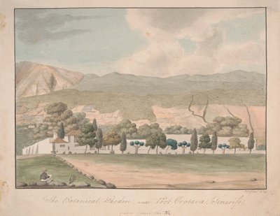 Tenerife Limanı Orotava yakınlarındaki Botanik Bahçesi by Alfred Diston