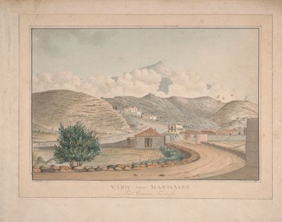 Martianez'den Görünüm, Port Orotava, Tenerife by Alfred Diston