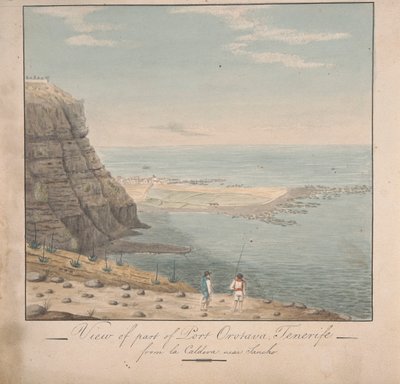 Sancho yakınlarındaki La Caldeva'dan Tenerife Limanı Orotava'nın bir kısmından görünüm by Alfred Diston