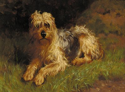 Yumuşak Kaplamalı Buğday Teriyeri by Alfred Duke