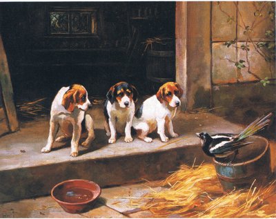 Davetsiz misafir, dergi veya kitap kaynağından bilinmeyen (renkli taş) by Alfred Duke
