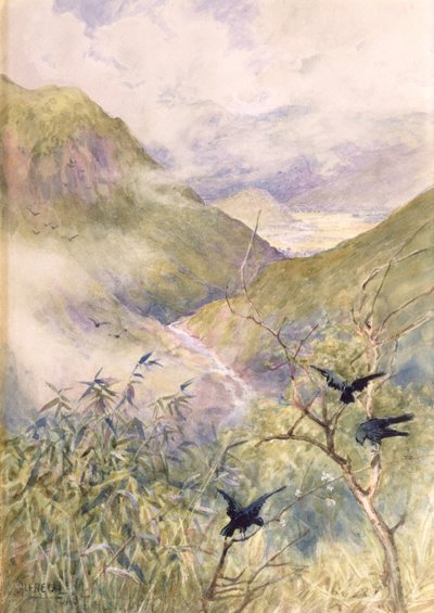 Zambaklara Bakmak: Nikko Vadisi Doğuya Shimo-no-Tsuke Eyaletine Doğru Bakmak, c.1889 (kağıt üzerinde wc) by Alfred East