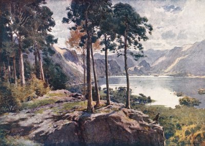 Göller Bölgesi: Derwentwater, Castle Head