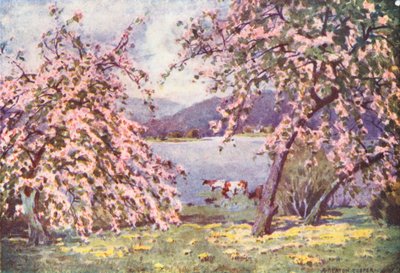 Göller Bölgesi: Esthwaite Suyu, Elma Çiçeği (renkli lito) by Alfred Heaton Cooper