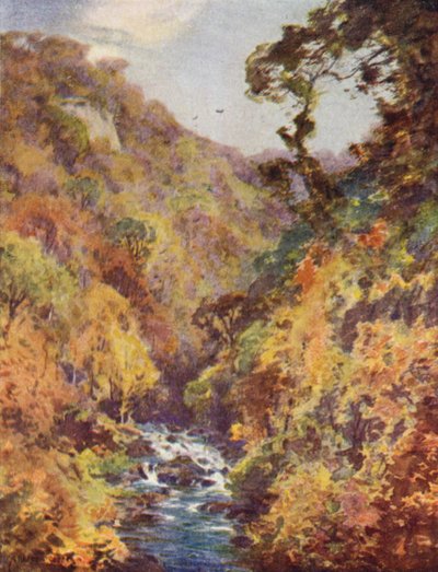 Dargle, County Wicklow by Alfred Heaton Cooper