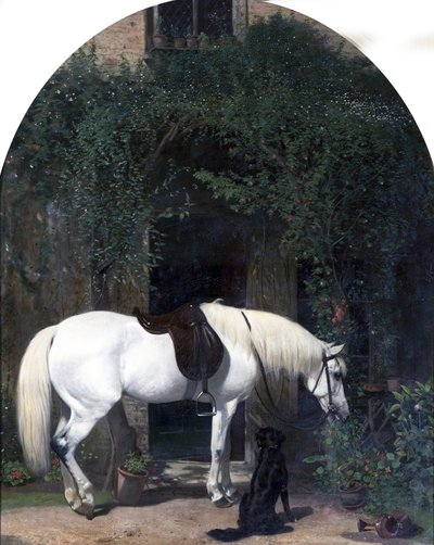 Beyaz At ve Retriever by Alfred Hichens Corbould