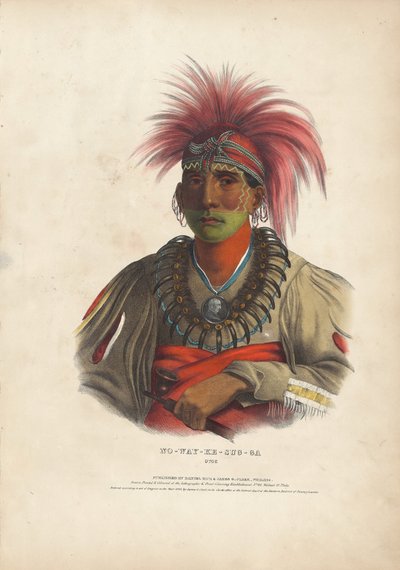 Toplam yok y-durumu g-, Otoe by Alfred Hoffy, after Charles Bird King