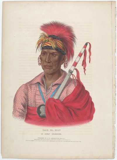 Tah-Ro-Hon, Bir Ioway Savaşçısı by Alfred Hoffy, after Charles Bird King