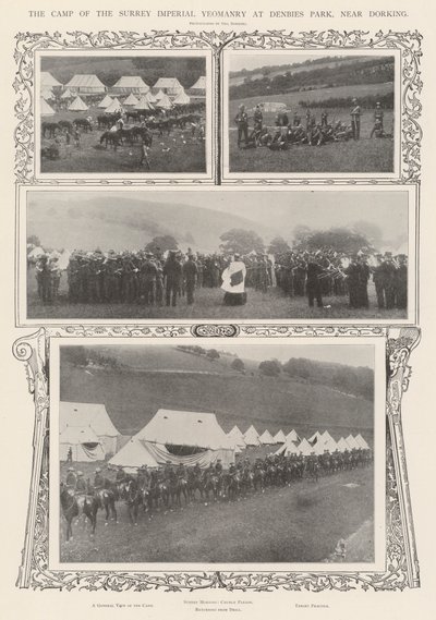 Dorking yakınlarındaki Denbies Park